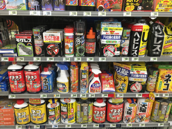 モグラ除け・ネコ除け_c0112447_11350877.jpg