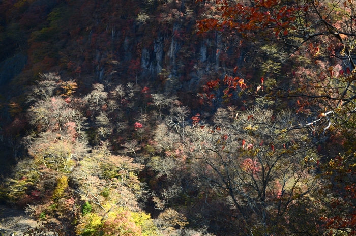 e0009147_18593292.jpg