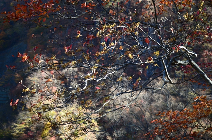 e0009147_191472.jpg