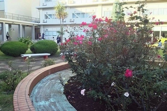 e0228147_07505378.jpg