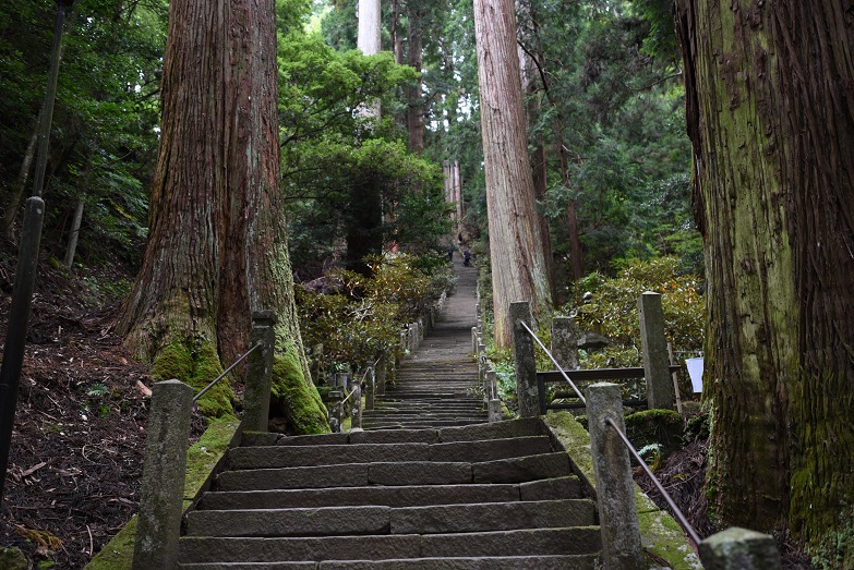 a0237349_1544520.jpg