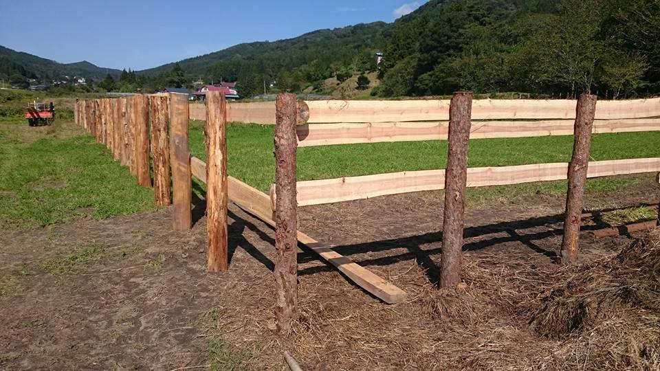 馬の柵を作りました フウドの日々暮らし 馬の柵を作りました フウドの日々暮らし