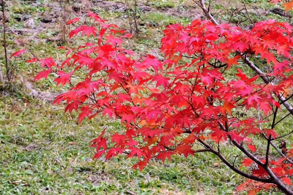 b0236251_10561210.jpg