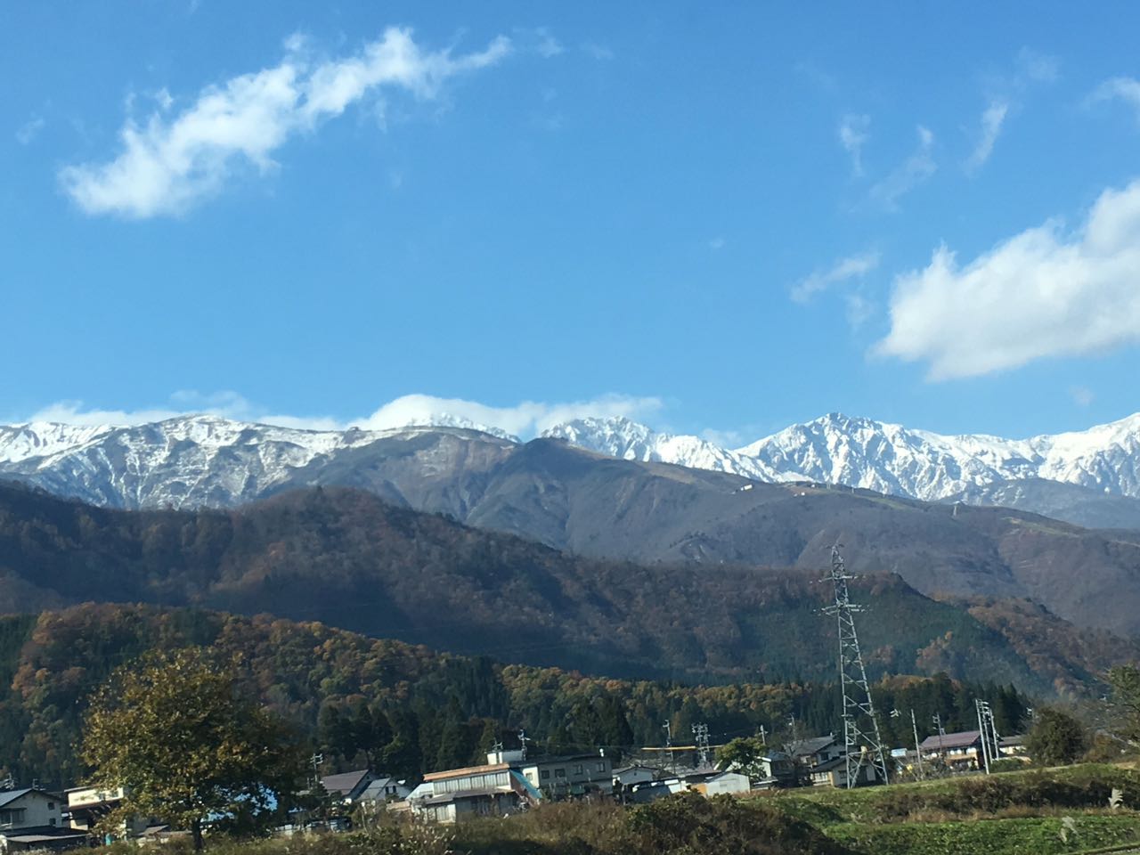 c0254151_941385.jpg
