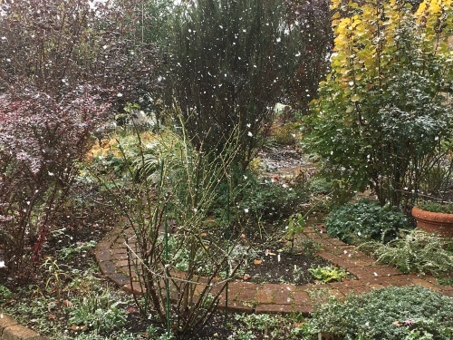 まだ終わってないのに雪!_e0326953_11311521.jpg