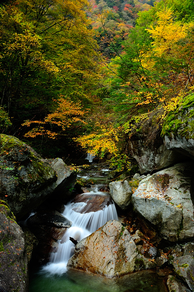 b0283455_19104420.jpg