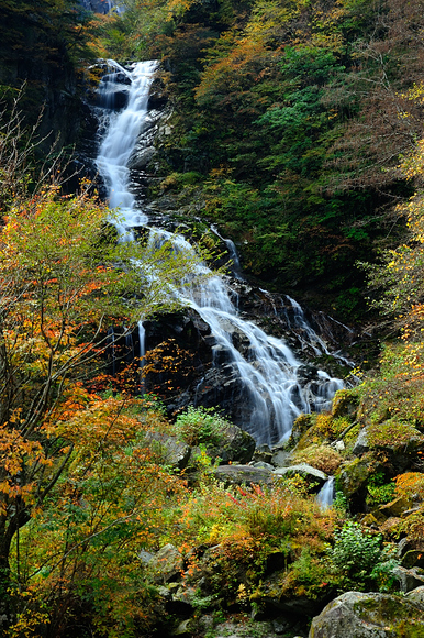 b0283455_1911664.jpg