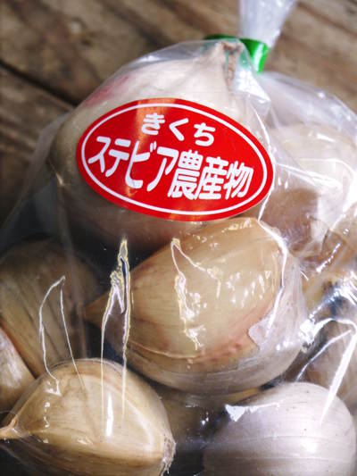 熊本産ステビアにんにく 平成29年度の収穫へ向け定植作業の様子_a0254656_17105575.jpg