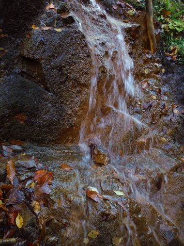 c0294658_22175231.jpg