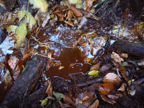 c0294658_22354010.jpg