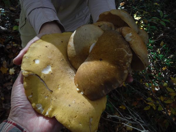c0294658_23310855.jpg