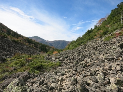 e0170558_01105564.jpg