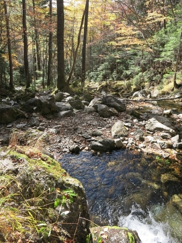 e0170558_21484847.jpg
