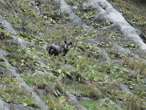 e0170558_22085212.jpg