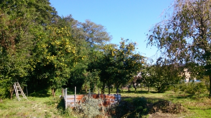 d0116059_09271511.jpg