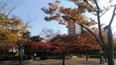 c0190960_2226546.jpg