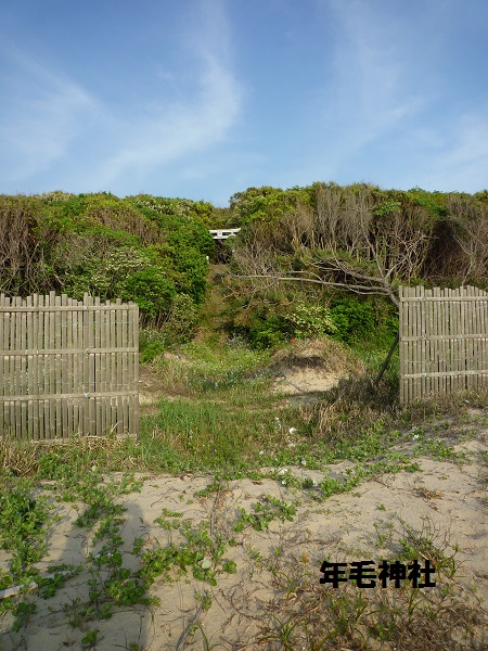 c0222861_2248230.jpg