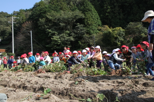 いも掘り遠足♪_f0324461_18391642.jpg