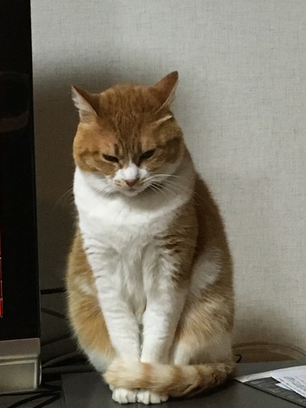 友人との旅行_f0363168_22144057.jpeg