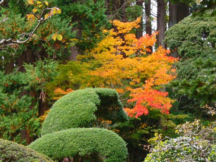 松前藩主松前家墓所がある『法憧寺』_f0166871_1837291.jpg