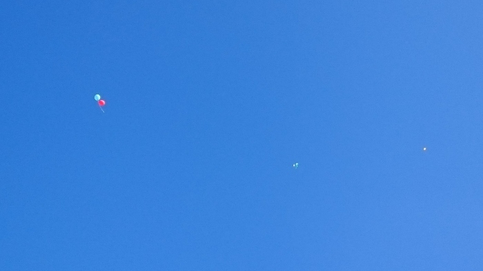 f0157572_08403533.jpg