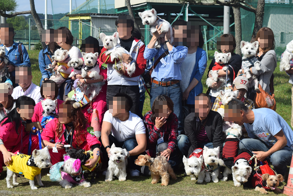 ♪ダニエル WP 2016 どこを見ても白犬さ～んの集合写真～ヽ(*^^*)ノ ♪_b0242873_12182835.png