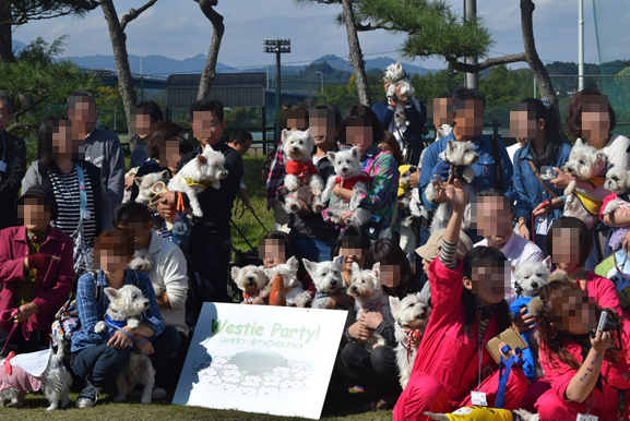 ♪ダニエル WP 2016 どこを見ても白犬さ～んの集合写真～ヽ(*^^*)ノ ♪_b0242873_12184287.png