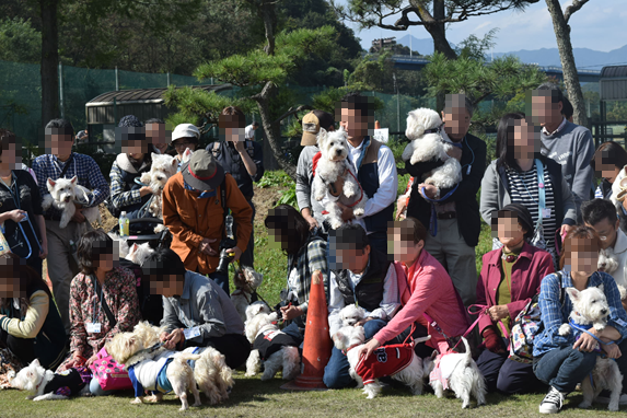 ♪ダニエル WP 2016 どこを見ても白犬さ～んの集合写真～ヽ(*^^*)ノ ♪_b0242873_12191075.png