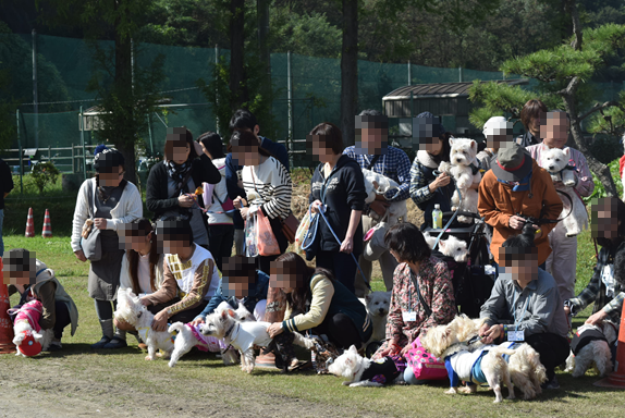 ♪ダニエル WP 2016 どこを見ても白犬さ～んの集合写真～ヽ(*^^*)ノ ♪_b0242873_12192533.png