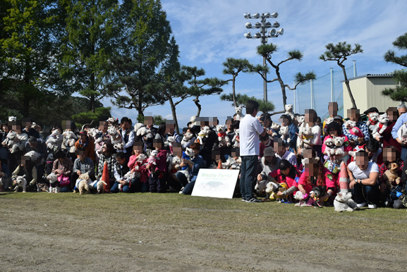 ♪ダニエル WP 2016 どこを見ても白犬さ～んの集合写真～ヽ(*^^*)ノ ♪_b0242873_12201230.png