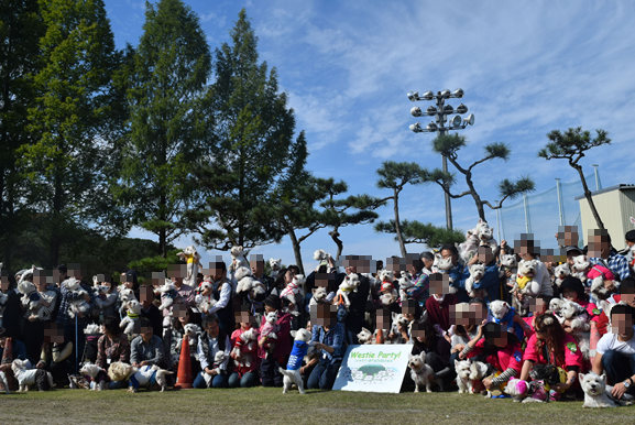 ♪ダニエル WP 2016 どこを見ても白犬さ～んの集合写真～ヽ(*^^*)ノ ♪_b0242873_12203794.png