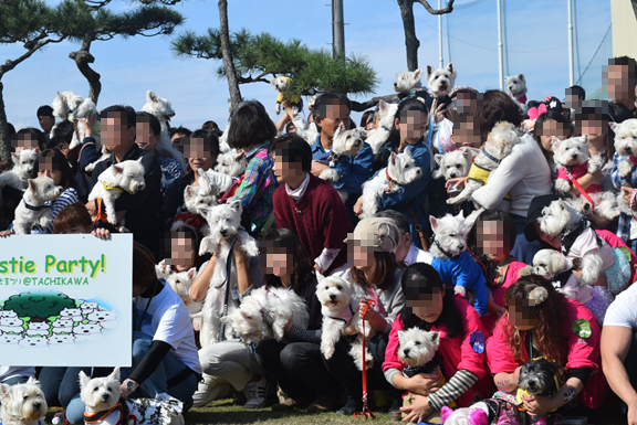 ♪ダニエル WP 2016 どこを見ても白犬さ～んの集合写真～ヽ(*^^*)ノ ♪_b0242873_12221341.png