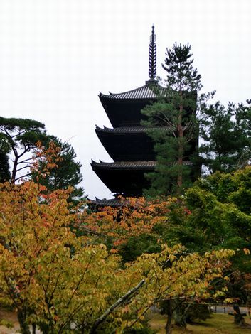 f0084573_23275110.jpg