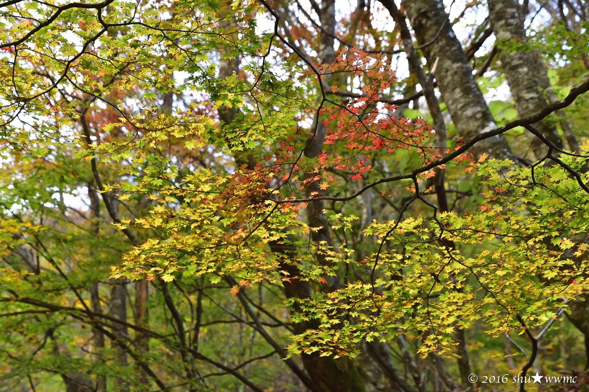 a0142976_18195183.jpg