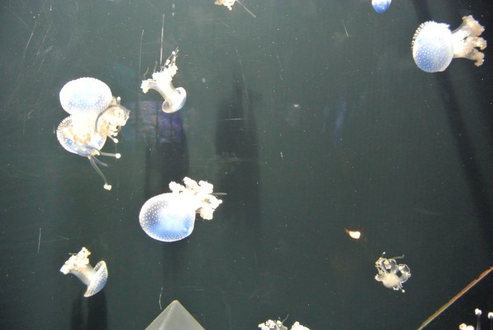 d0116376_03190916.jpg
