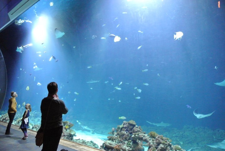 d0116376_03192261.jpg