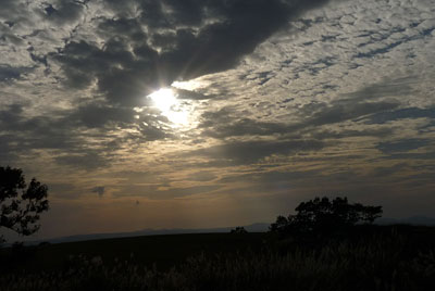 c0152779_19512439.jpg