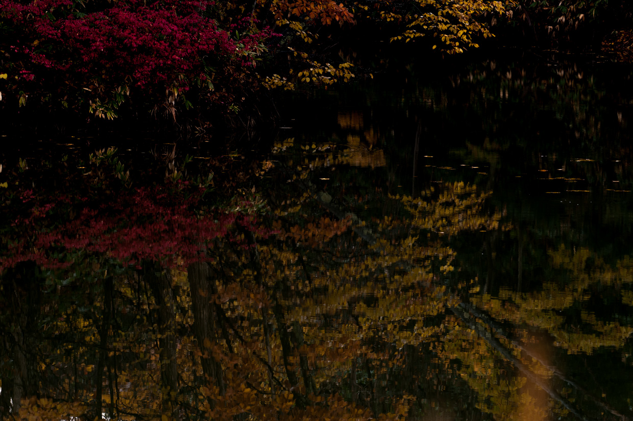 b0001380_23525434.jpg