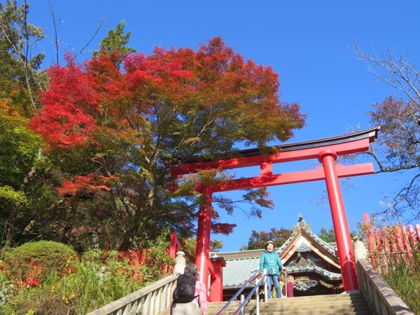 ターカタカタカ高尾山〜前編_e0133780_22331980.jpg