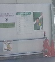 f0228680_12545727.jpg