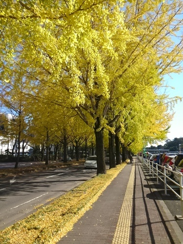 a0240486_10455524.jpg