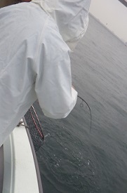 f0069890_22135732.jpg