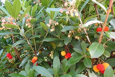 f0203094_14181927.jpg