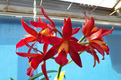 f0203094_1429837.jpg