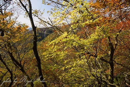 山頂からの眺め_f0332795_22092020.jpg