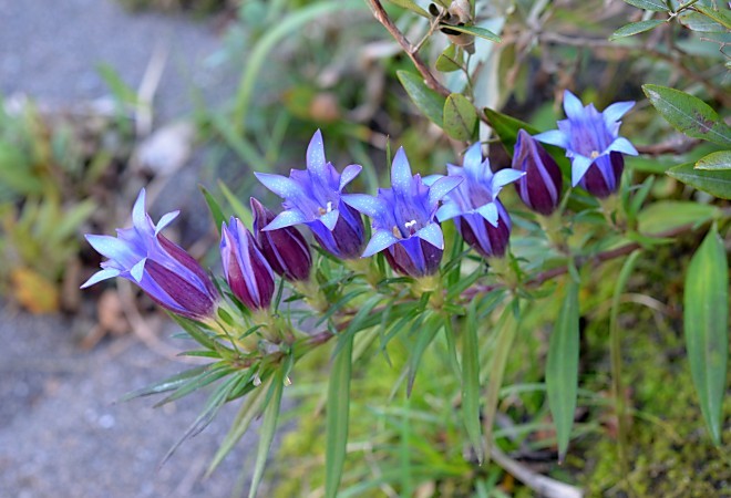 a0339396_00310682.jpg