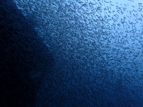 e0115199_19165740.jpg