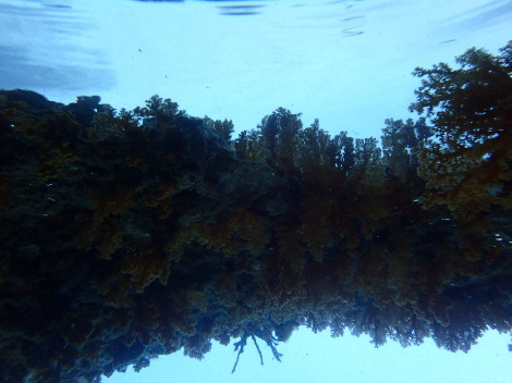 e0115199_19222406.jpg