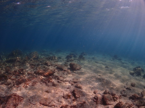 e0115199_19444828.jpg
