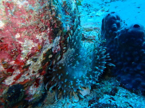 e0115199_20093154.jpg